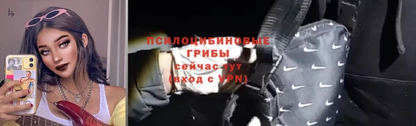 ПСИЛОЦИБИНОВЫЕ ГРИБЫ Алзамай