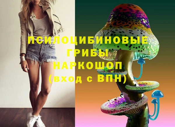 ПСИЛОЦИБИНОВЫЕ ГРИБЫ Алзамай