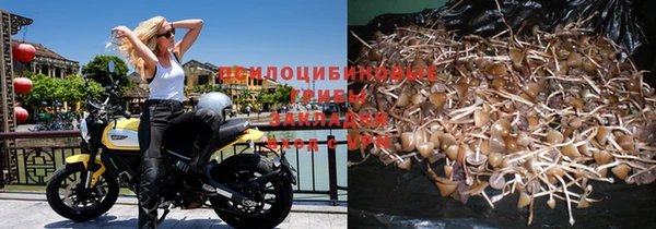 прущие грибы Алексеевка
