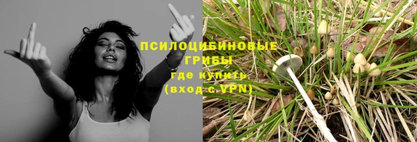 ПСИЛОЦИБИНОВЫЕ ГРИБЫ Алзамай