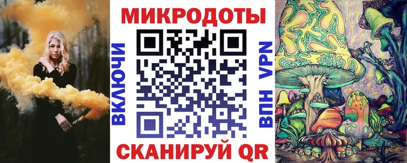 мега как зайти Находка Галлюциногенные грибы Psilocybe